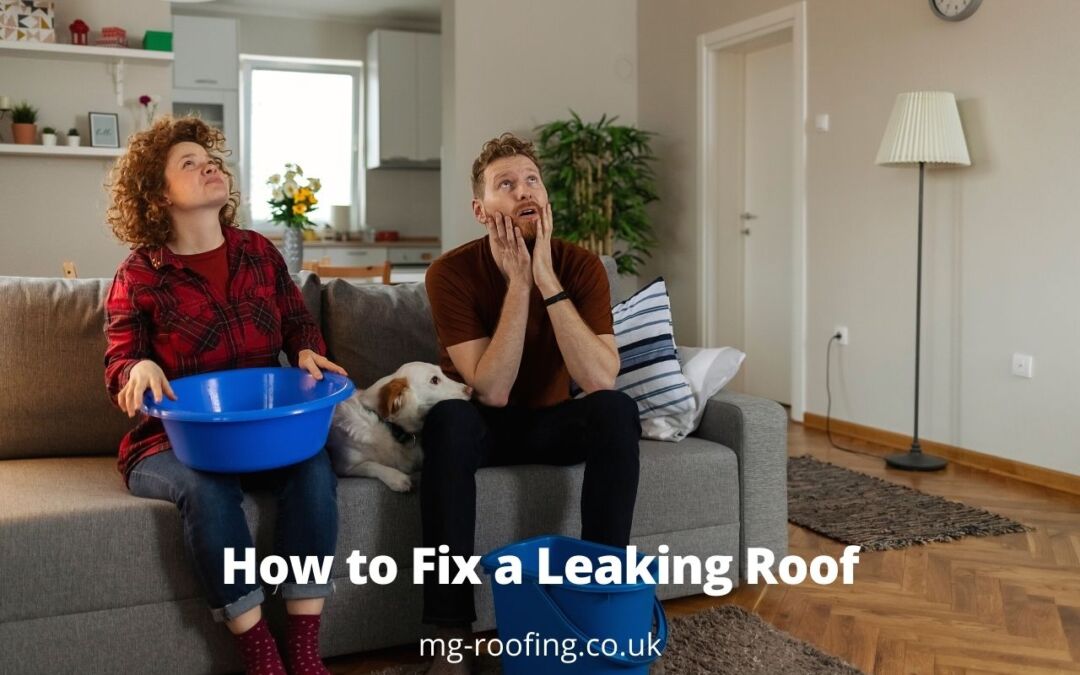 Leaking roof – MG